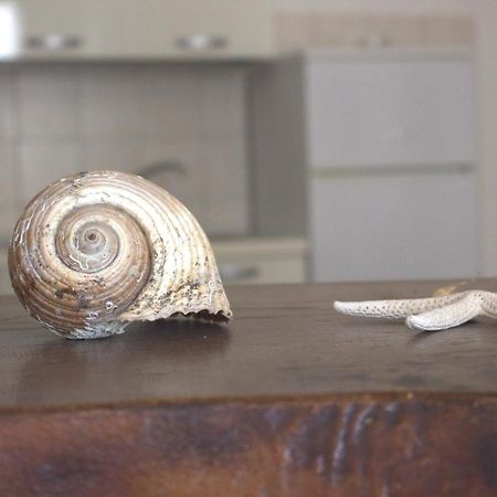 Lido Dei Miracoli Apartman Lido Conchiglia Kültér fotó