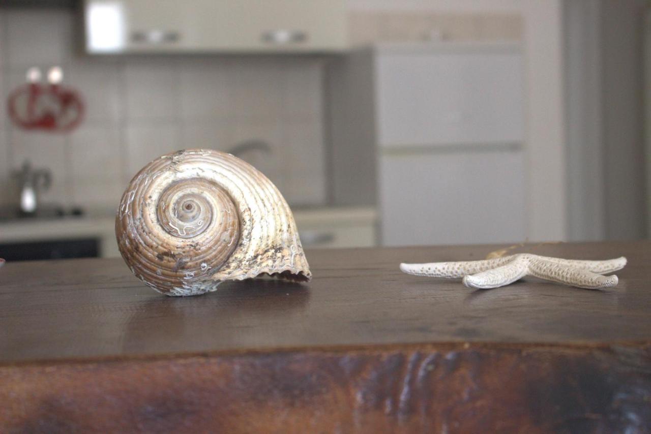 Lido Dei Miracoli Apartman Lido Conchiglia Kültér fotó